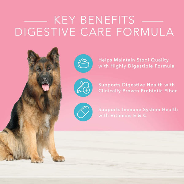 Dog digestive cheap care food