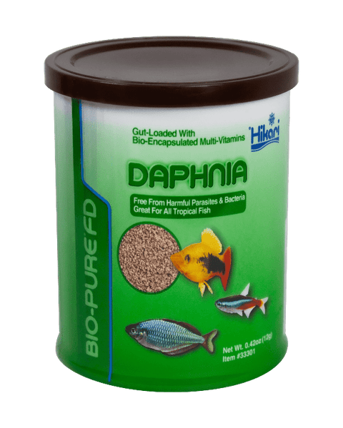 Frozen daphnia fashion for betta