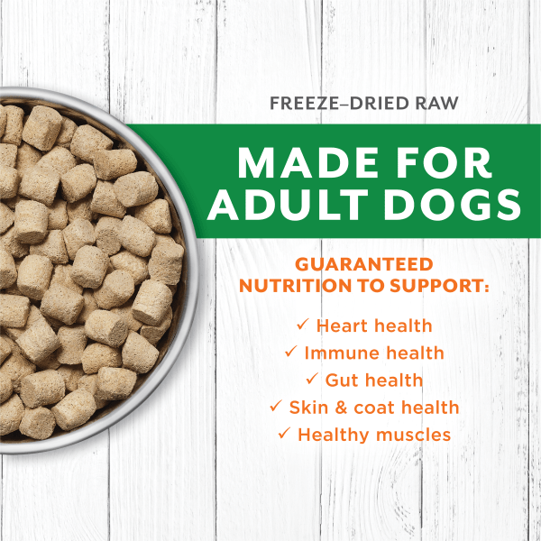 Healthy freeze outlet dried dog food