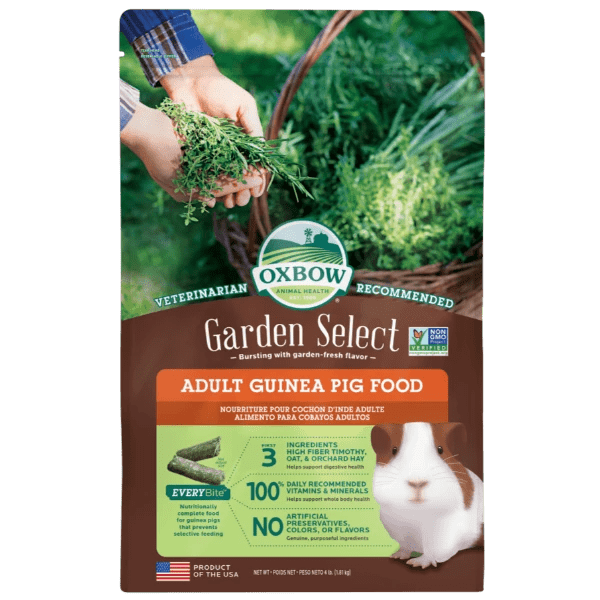 Healthy guinea hot sale pig food