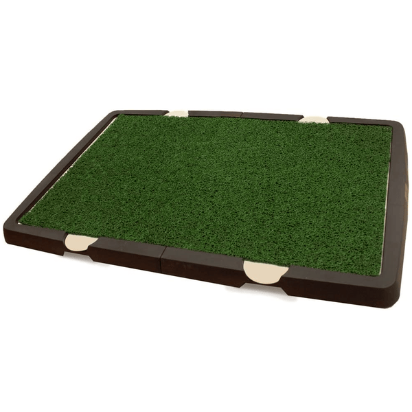 Spotty indoor dog potty replacement sale grass