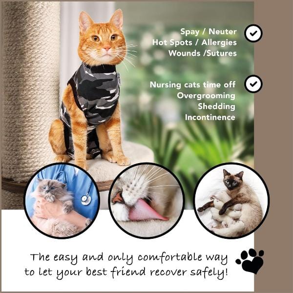 Kitten surgical recovery suit hotsell