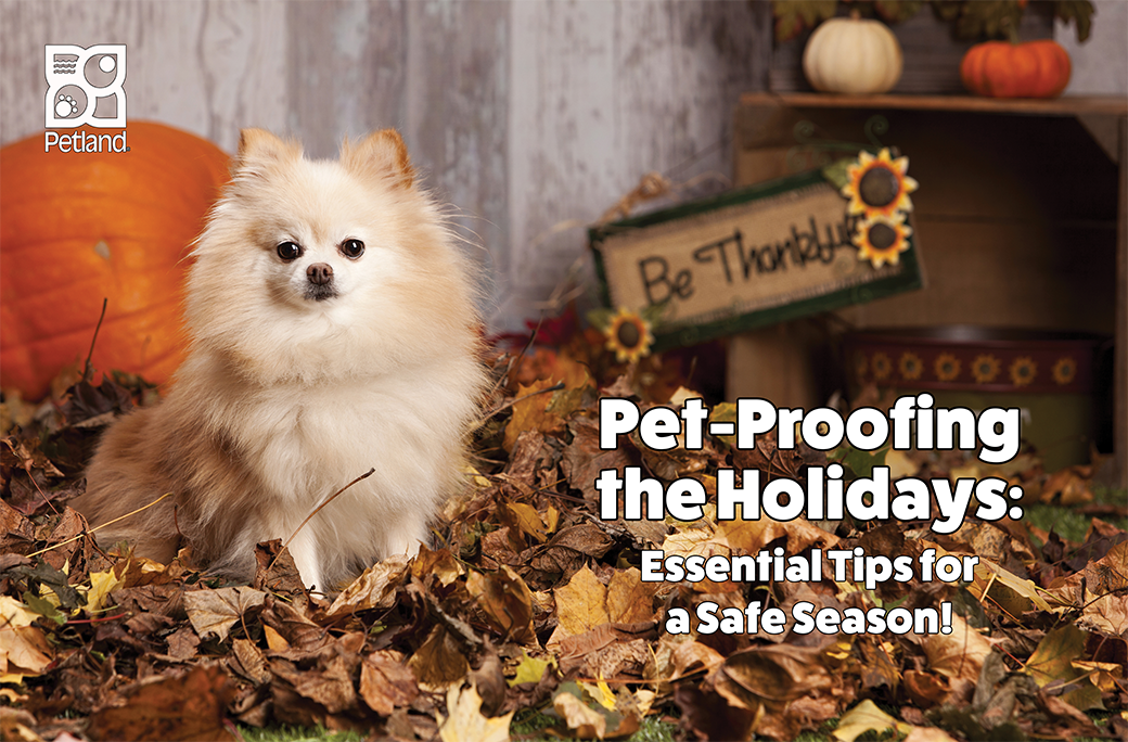 Pet-Proofing the Holidays: Essential Tips for a Safe Season!