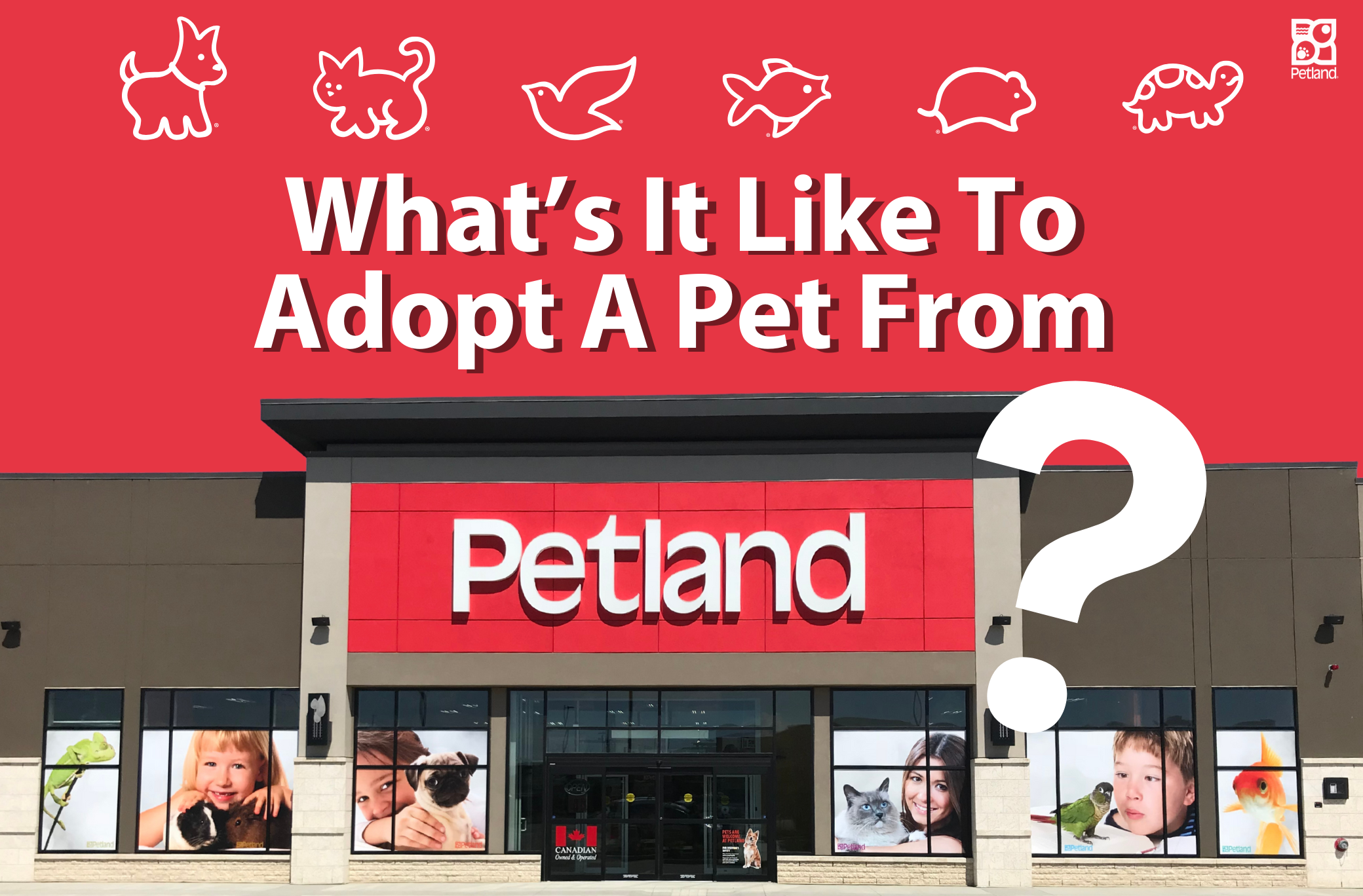 What's It Like To Adopt A Pet From Petland Canada?