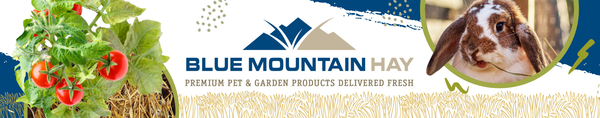 Blue Mountain Hay (15-40oz)