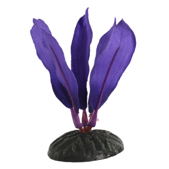 Fish Gear Purple Dwarf Sword Silk Betta Plant (4")