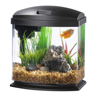 Betta Fish Tank, 360 Aquarium with LED Light, 1 Gallon Fish Bowl