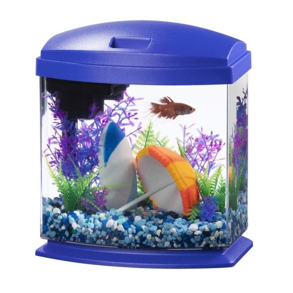 Aquarium Accessories - What Fish Need