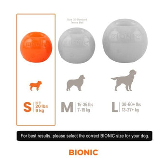 BIONIC BIONIC Ball Dog Toy