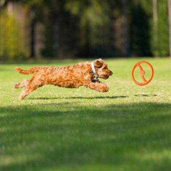 BIONIC BIONIC Toss-N-Tug