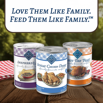 Blue Buffalo Co. BLUE Family Favorite Recipes Shepherd's Pie In Gravy Recipe Canned Dog Food