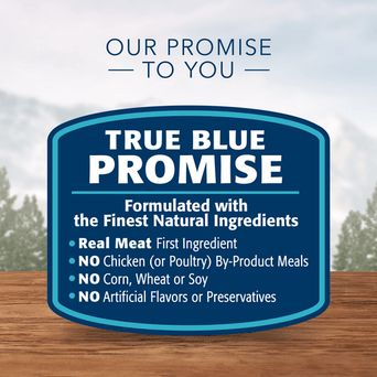 Blue Buffalo Co. BLUE Wilderness Grain Free Salmon Recipe Dry Dog Food, 24lb