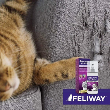 FELIWAY Spray 20 mL - Reassures Cats During Car Travel, 3-pack