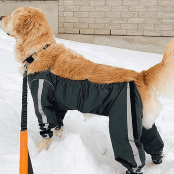 NHL Edmonton Oilers Hooded Dog Sweater – PetMax