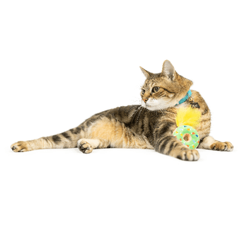 Huxley & Kent Huxley & Kent Lit Donut Cat Toy