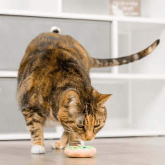 Huxley & Kent Huxley & Kent Lit Donut & Peppermint Candy Cat Toy