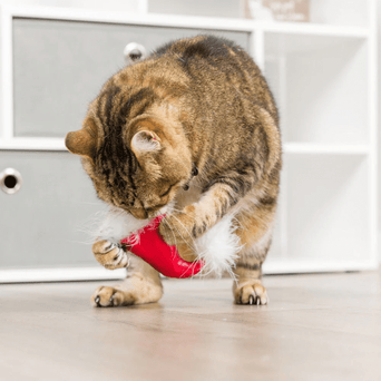 Huxley & Kent Huxley & Kent Santa Hat & Sweet Thing Candy Cat Toy