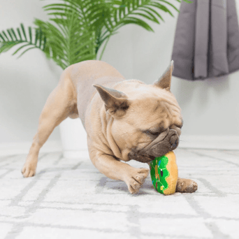 Huxley & Kent Huxley & Kent Tiny Tuff Dunk & Crunch Dog Toy