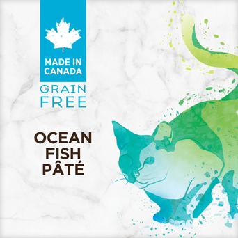 Nutrience Nutrience Grain Free Ocean Fish Pate Canned Cat Food