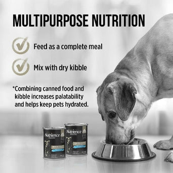 Nutrience Nutrience SubZero Northern Lakes Pate Canned Dog Food