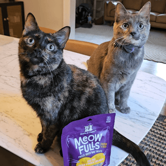 Nutrience Stella & Chewy's Meowfulls Chicken & Chicken Liver Cat Treats