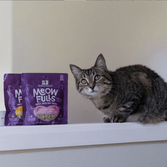 Nutrience Stella & Chewy's Meowfulls Whitefish & Salmon Cat Treats