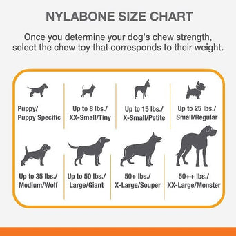 Nylabone Nylabone Dental Chew and Flexi Bone Combo Pack Dog Chew Toys