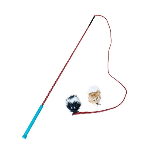 Flirt Pole V2 Dog Exercise & Training Toy With Lure -  Canada