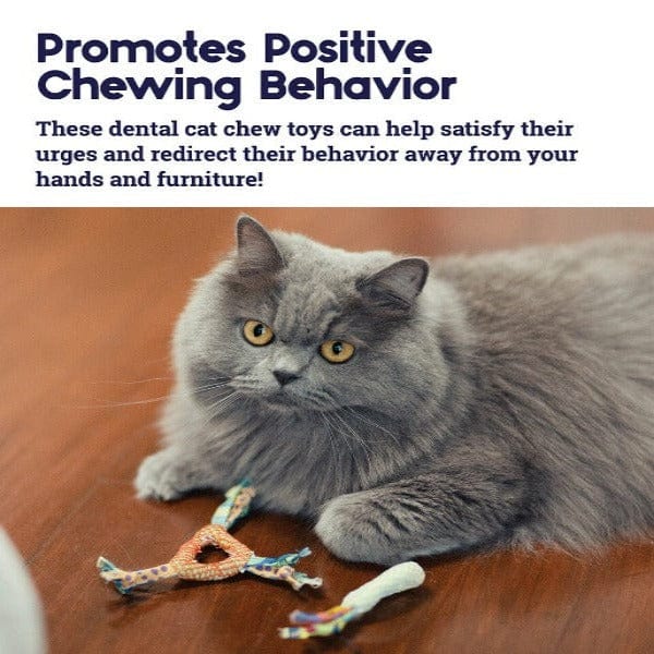 Dental chew 2024 toys for cats