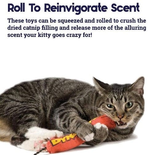 Crazy 2024 cat toys