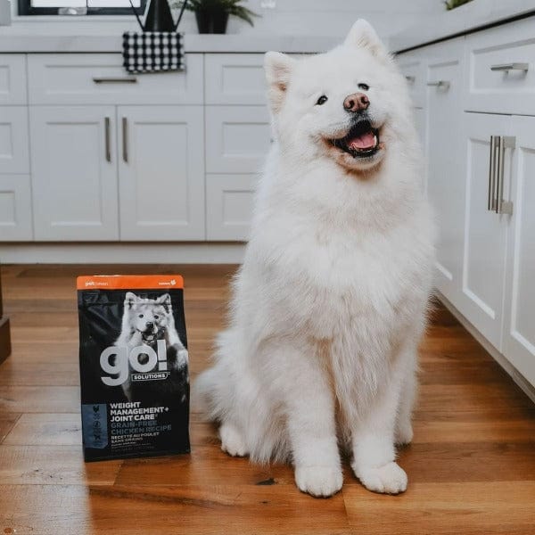 Grain free weight management dog outlet food