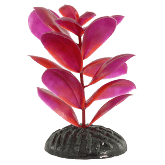 Petland Canada Fish Gear Magenta Bacopa Plastic Betta Plant (4")