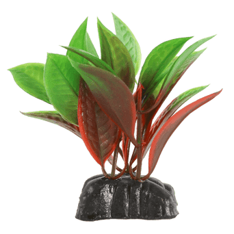 Petland Canada Fish Gear Red & Green Crypt Plastic Betta Plant (3")