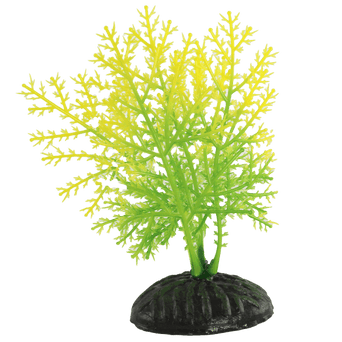 Petland Canada Fish Gear Yellow & Green Hygrophila Plastic Betta Plant (4")