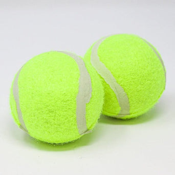 Petland Canada Petland Tennis Ball