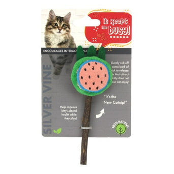 Petland Canada Silvervine Fruits Cat Toy