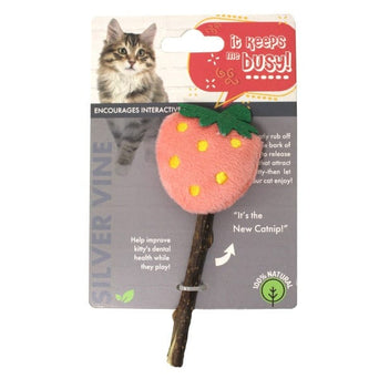 Petland Canada Silvervine Fruits Cat Toy