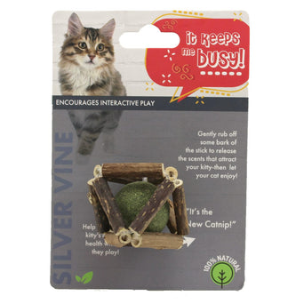 Petland Canada Silvervine Octahedron Ball Cat Toy