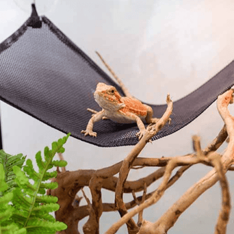 Reptizoo Reptizoo Nylon Reptile Hammock