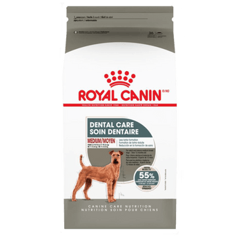 Royal Canin Royal Canin Medium Adult Dental Care Dry Dog Food