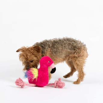 Silver Paw Silver Paw Flamingo Dog Toy