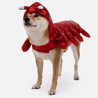 Silver Paw Silver Paw Lobster Costume