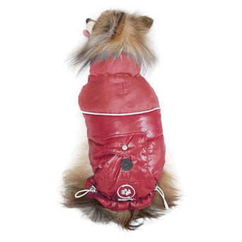 Silver Paw Silver Paw Stylist Winter Jacket