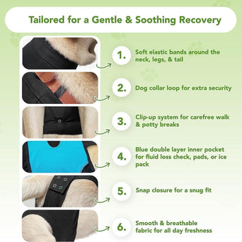 Suitical Suitical Recovery Suit for Dogs