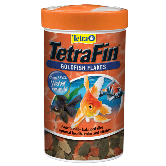 Goldfish hot sale tetra fish